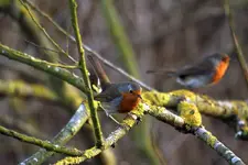 20120330_41.webp