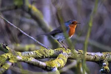 20120330_42.webp
