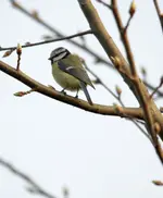 20120330_49.webp