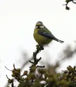 20120331_12.webp