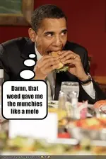 bama.webp