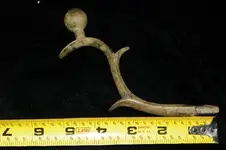 3-5-12 065.webp