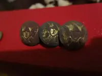 3-31-Ibuttonscleaned.webp
