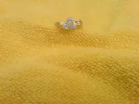 DSC01817.webp