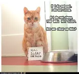 cc06eb82-e5fa-4cc0-bfcc-8f2c74995227.webp