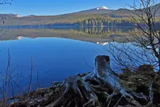 IMG_4681_2_3_fused.webp