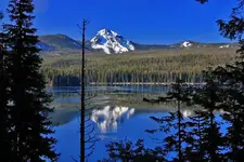 IMG_4711_21_3_fused.webp