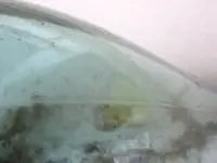 bottle2.webp