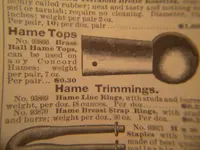hamestop.webp