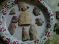 arrowheads2april2012.webp