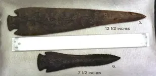 12.5 inch point.webp