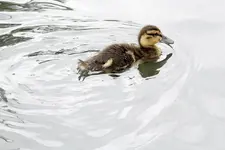 20120505_52.webp