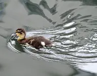 20120505_54.webp