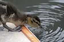 20120505_77.webp