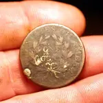 NH FINDS 02-11.2.webp