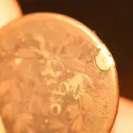 NH FINDS 02-11.3.webp