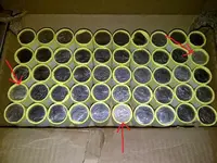 IMG-20120226-00025 enders.webp