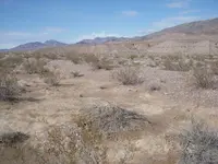 DSCN4004.webp