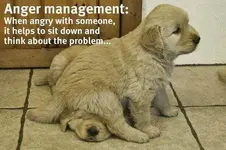 image009.jpg anger.webp
