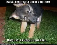 image014.jpg omg.webp