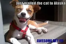 image018.jpg lol.webp