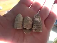 2011-CWBullets.webp