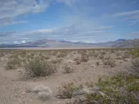 DSCN4026.webp