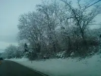 snow.webp
