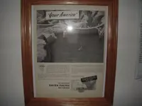 DSCN4334.webp