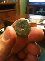 Shotgun shell 1880-1932.webp