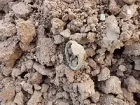 5-26 Febrero 2012 026.webp