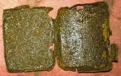 IMAG1767.webp