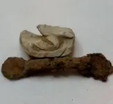 Maybe a Flint Holder.webp