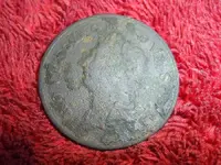 SUC50021.webp