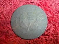 SUC50022.webp