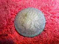 SUC50025.webp