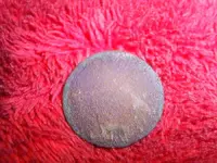 SUC50027.webp