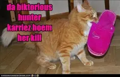 funny-cat-pictures-da-biktorious-hunter-karriez-hoem-her-kill.webp