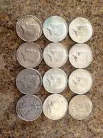 silverhalfs.webp