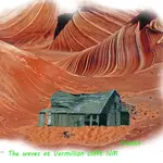 VERMILLION146-2.webp VERMILLION146-2.webp