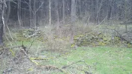 2012-03-31_16-14-58_976.webp