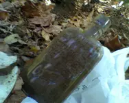 Waldorf Dirty.webp