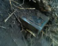 Applied Med in Situ.webp