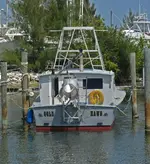 hawg stern view.webp hawg stern view.webp