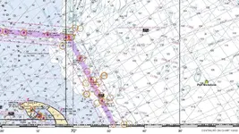 Port Nicholson.webp