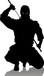 ninja.webp