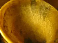 horn 013 25.webp