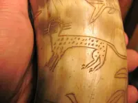horn 002 25.webp