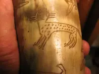 horn 008 25.webp