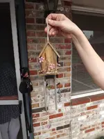 DSCF0373.webp